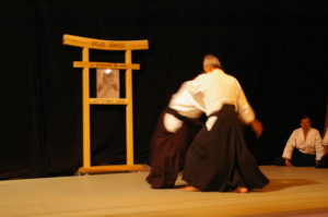 IMGP0992