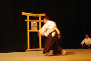 IMGP0993