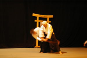 IMGP1039