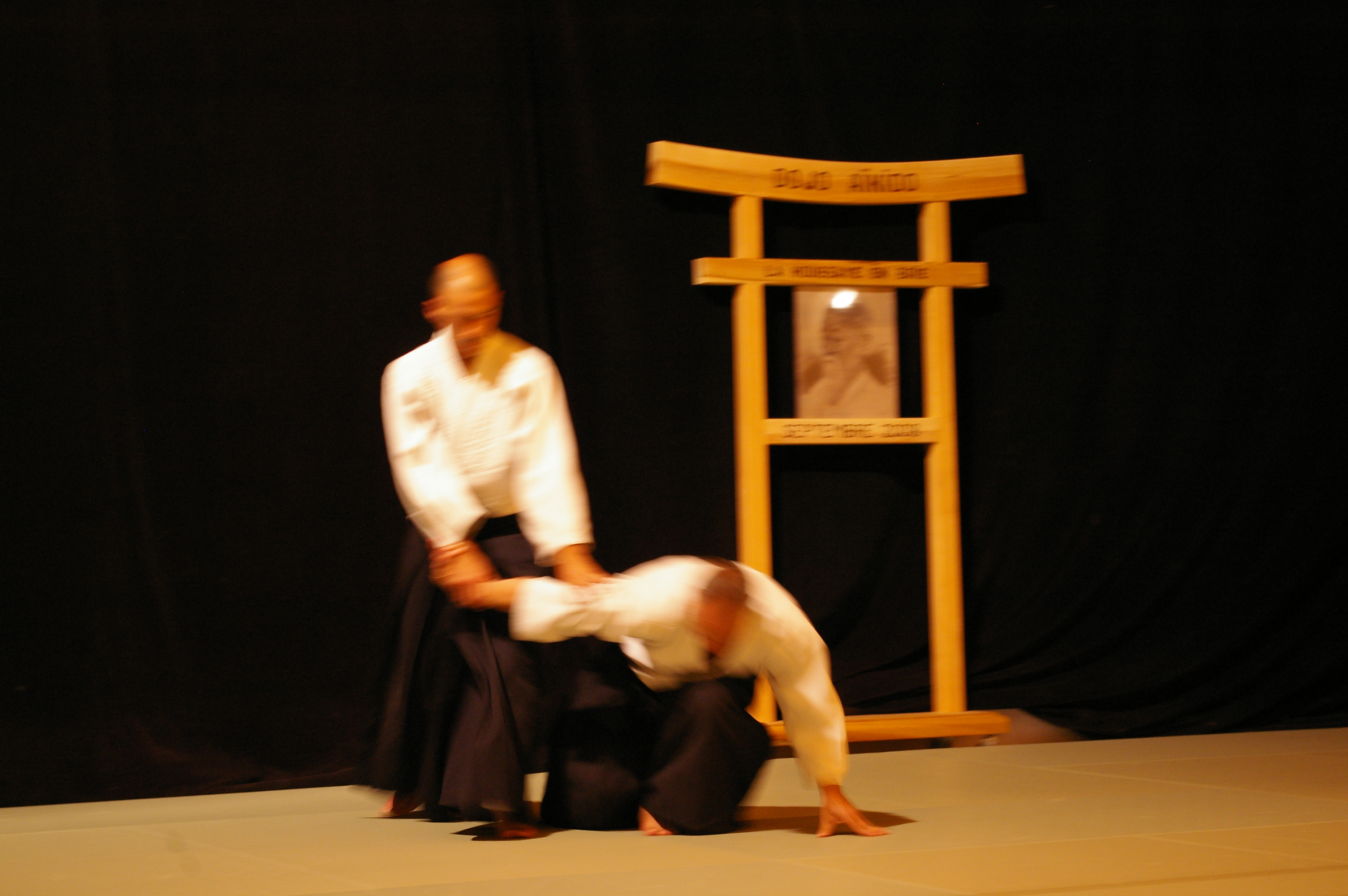 IMGP1045