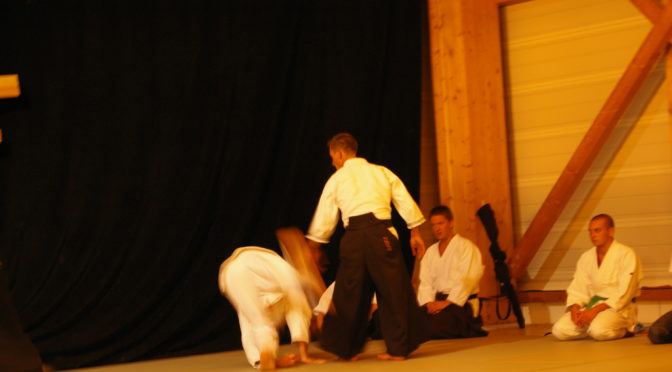 IMGP1050