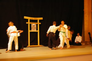 IMGP1054