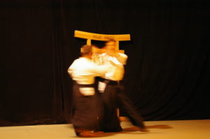 IMGP1102