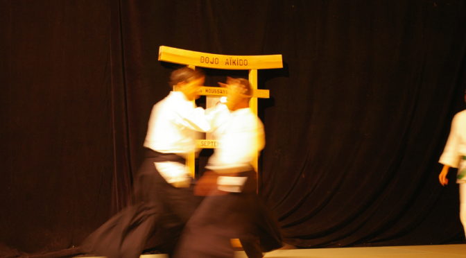 IMGP1103